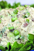 Turkey Salad With Pawpaw & Cashew Chutney